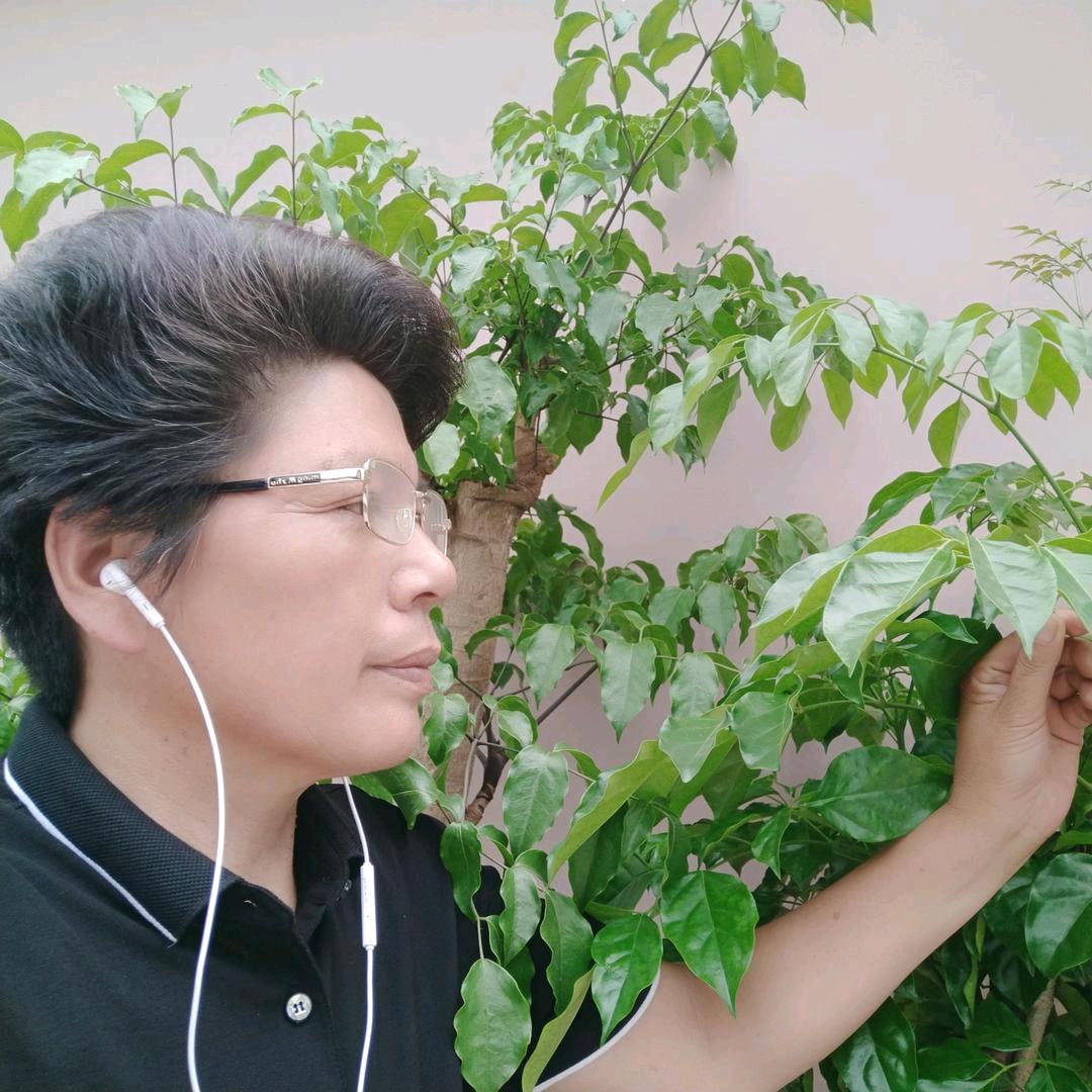 刘姐