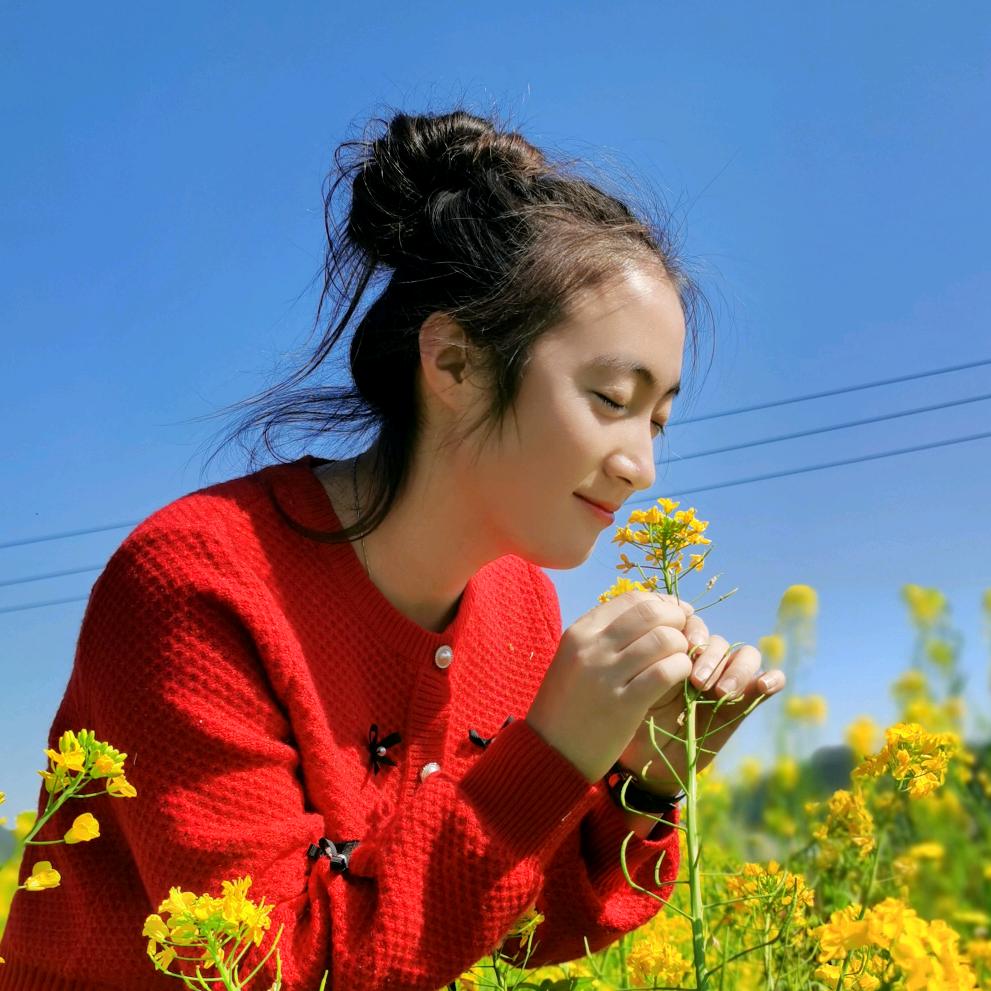小燕子