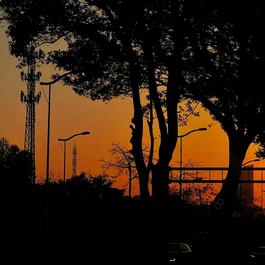 爱吃鸡肉卷的薯条