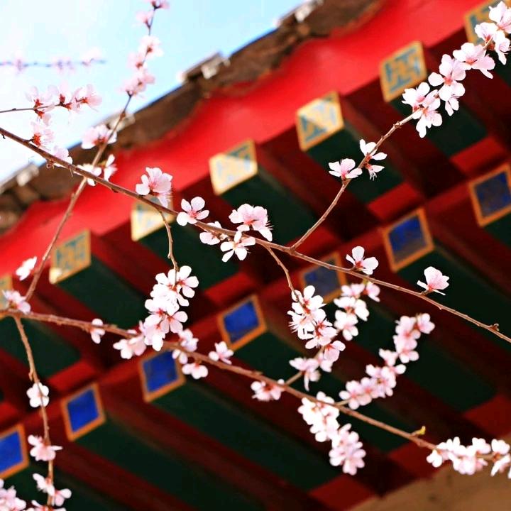 @知行合一