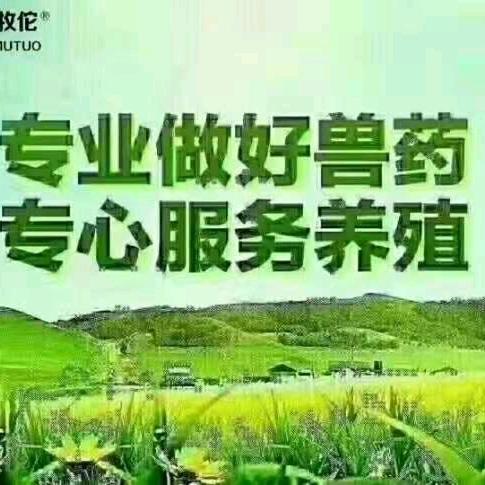 南风-养殖