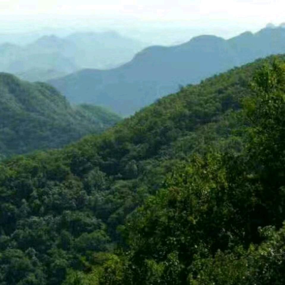心存善念