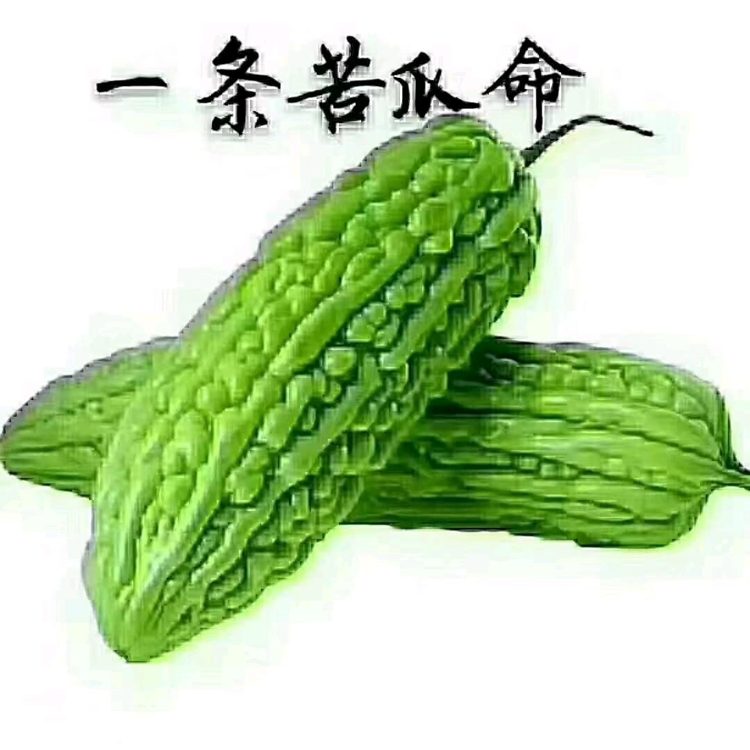 偏偏喜欢你