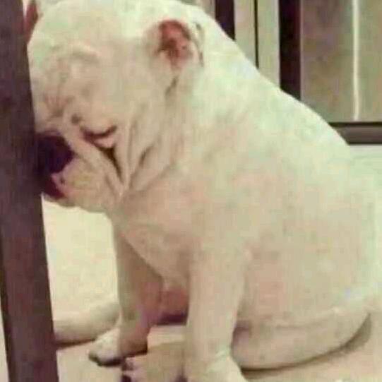 二哥随车吊集装箱