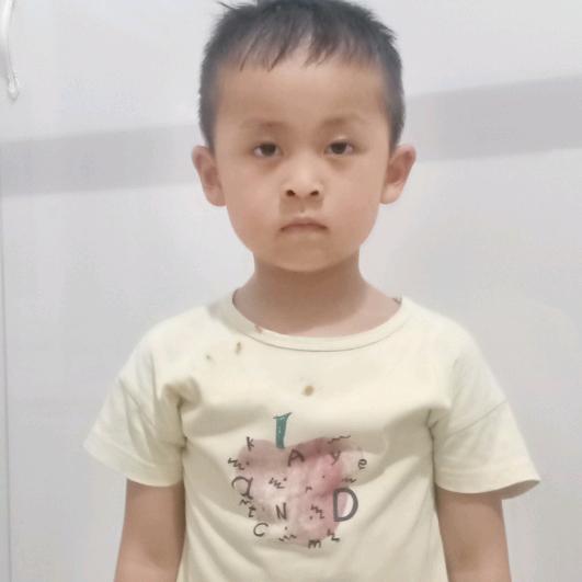 ，老马