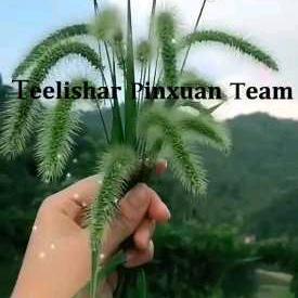 颜陌（拒绝连赞）