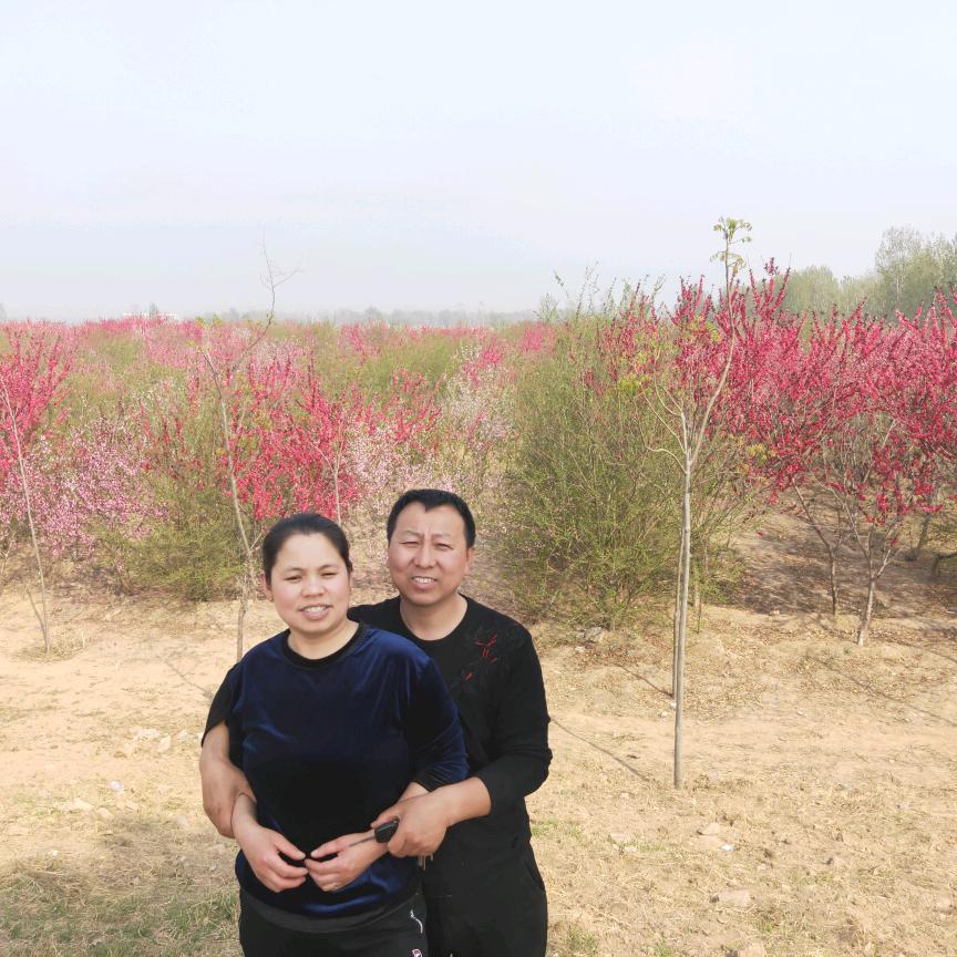 缘份