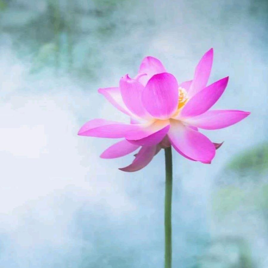 🌾益🌱