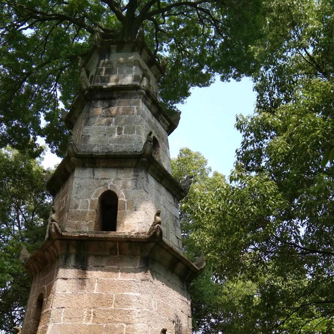 🐉¹⁹₈₈小珠珠