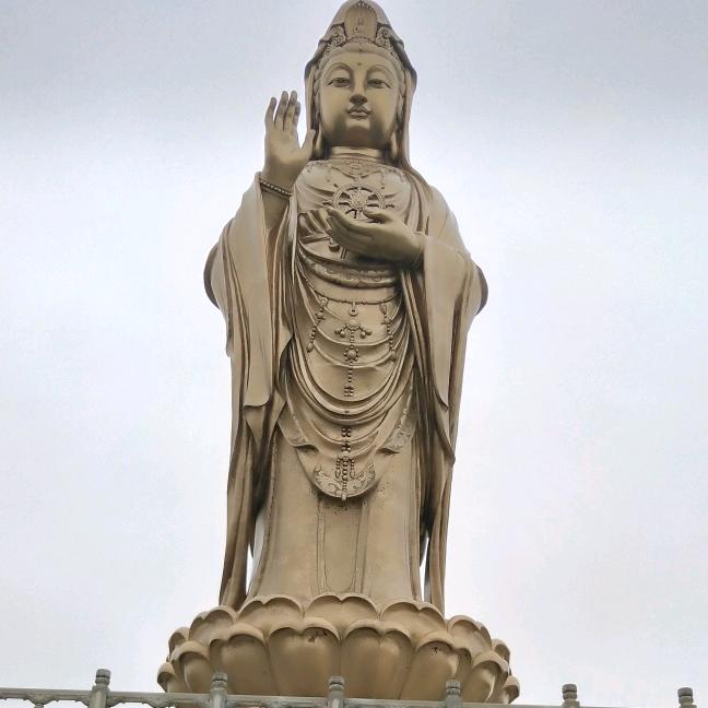 厦门收废品阿才