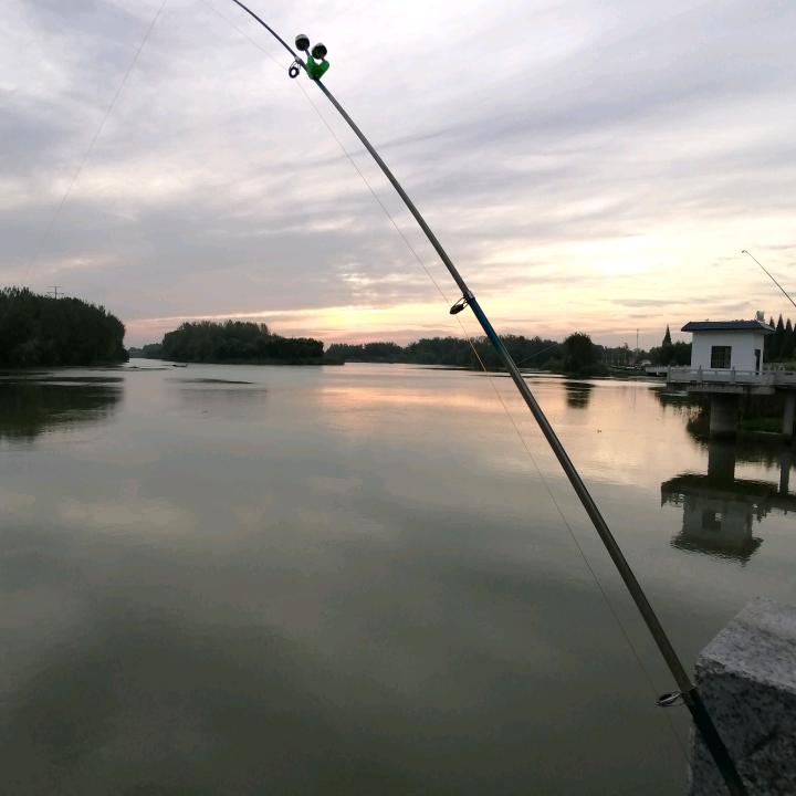 闲来独钓