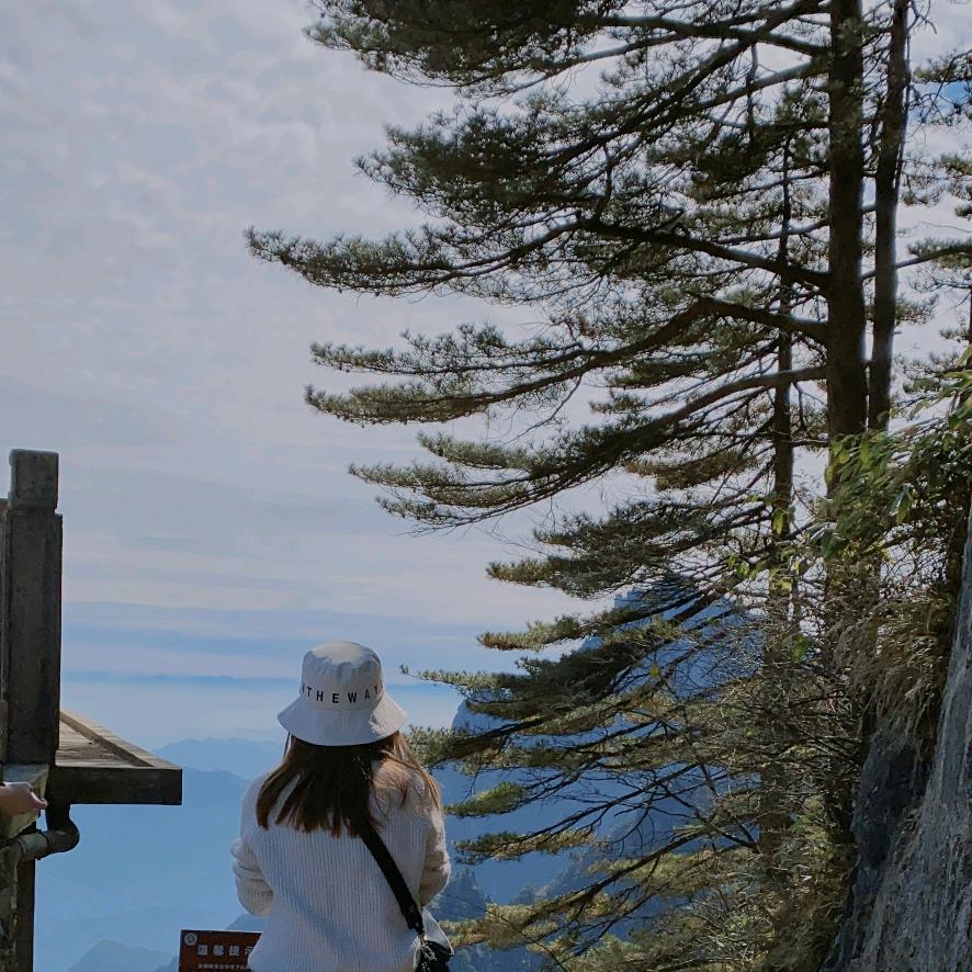 一只小锦李🧚‍♀️