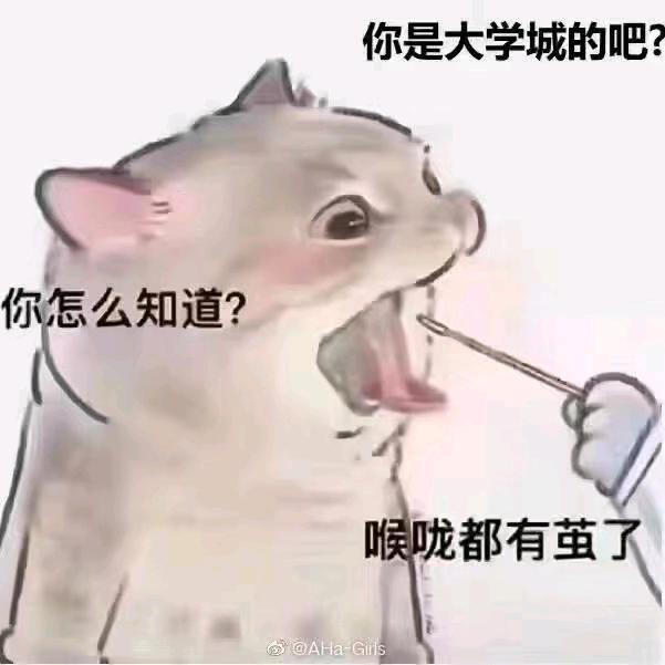 破茧成蝶。