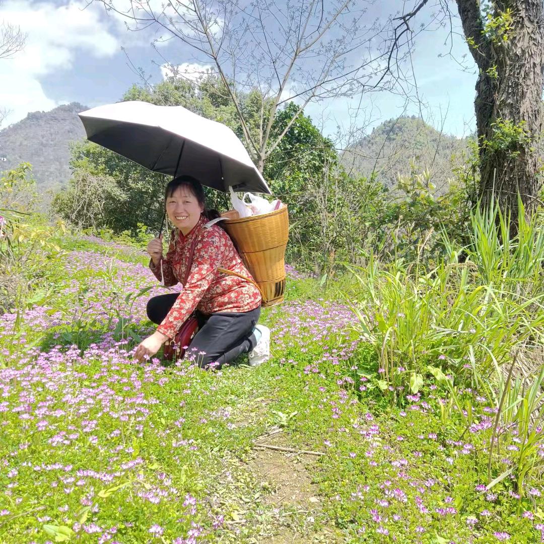 一帘幽梦覃秀一对口型