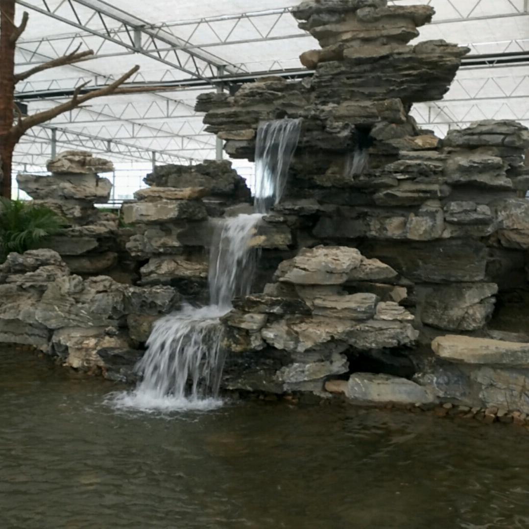 努力前行 ，靠自己