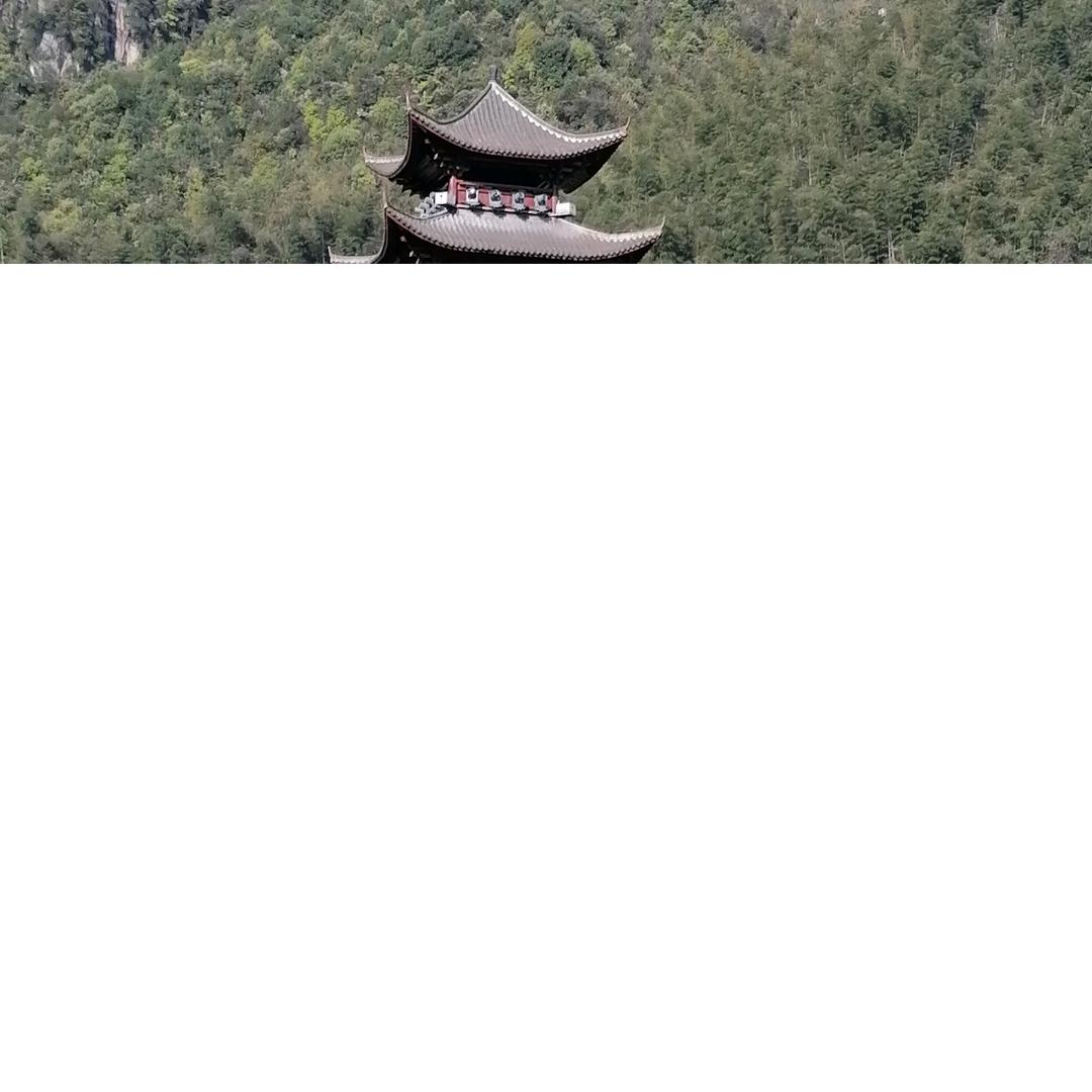呈