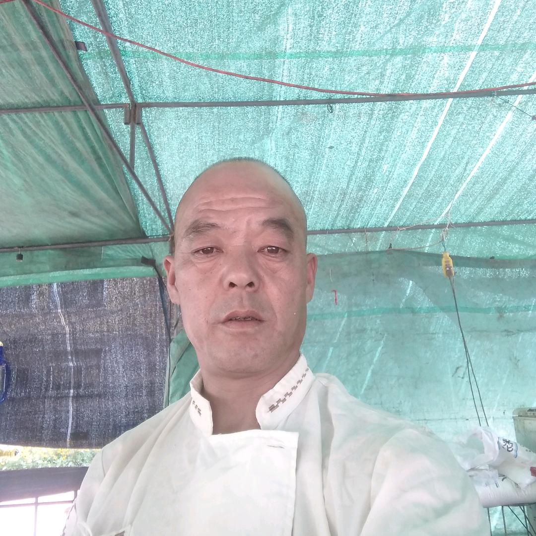 贾三流动餐饮一条龙服务