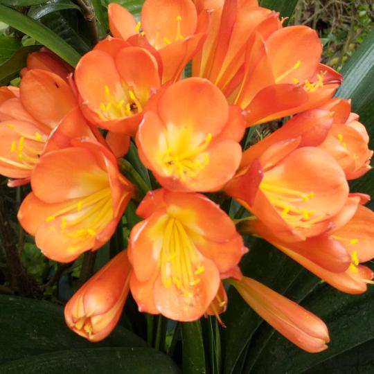 苦尽甘来，知足了，🌹️🌹️🌹️