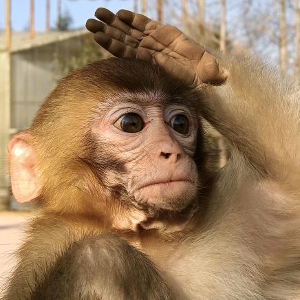 聊城动物园官方号