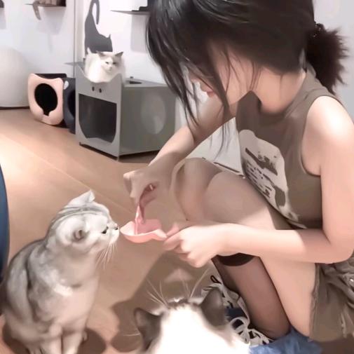 达咩咩咩咩咩咩咩