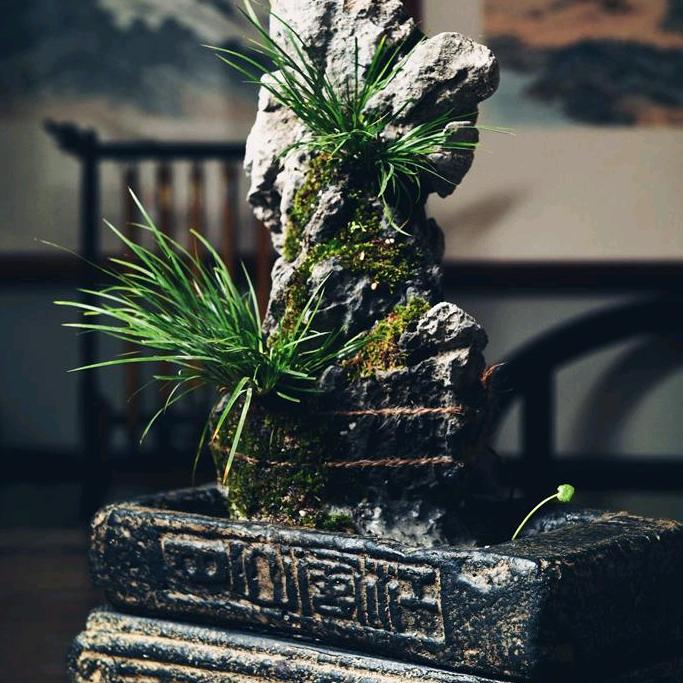 雲植园艺
