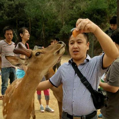 开门红