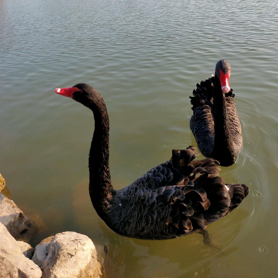 工具维修家电清洗