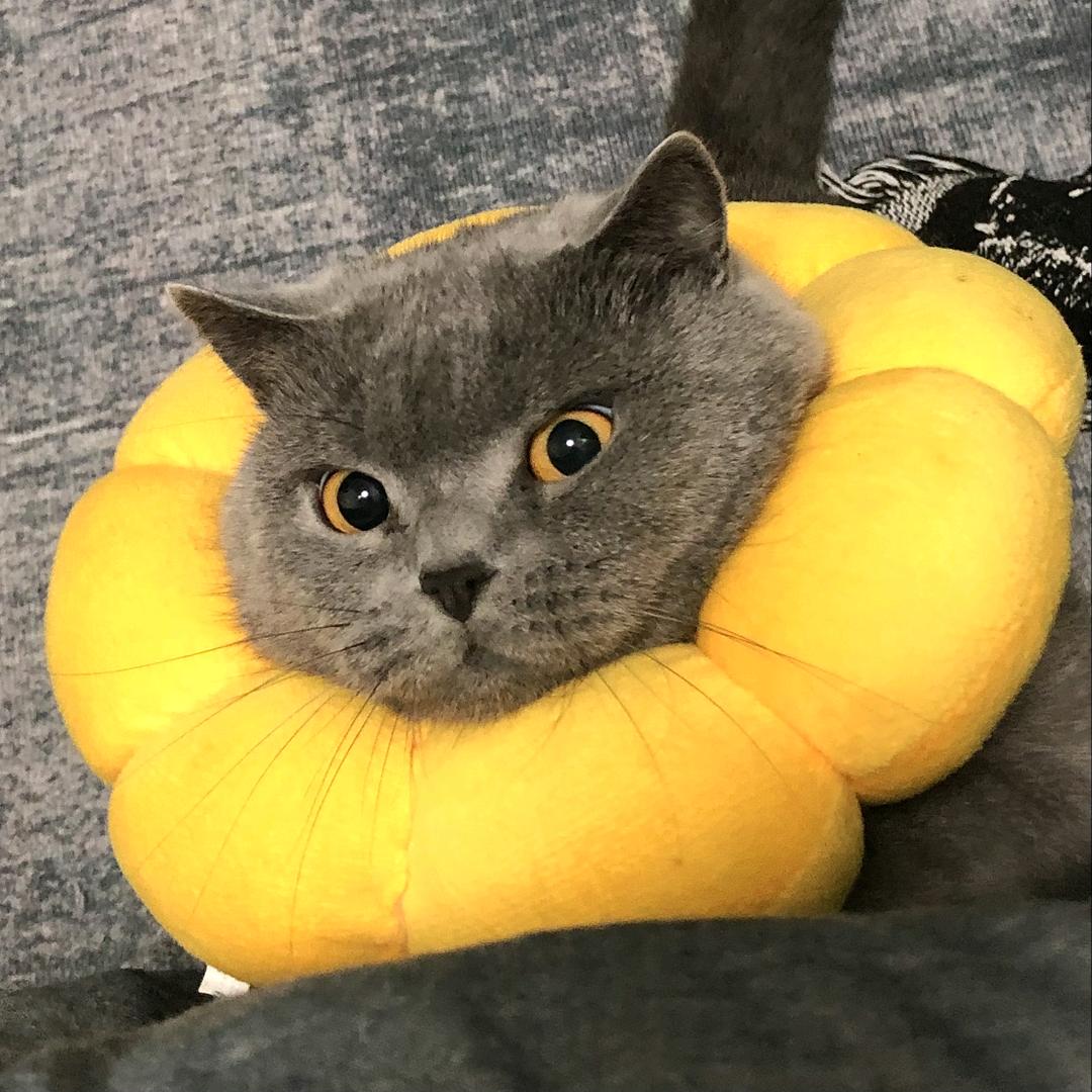 昆丶