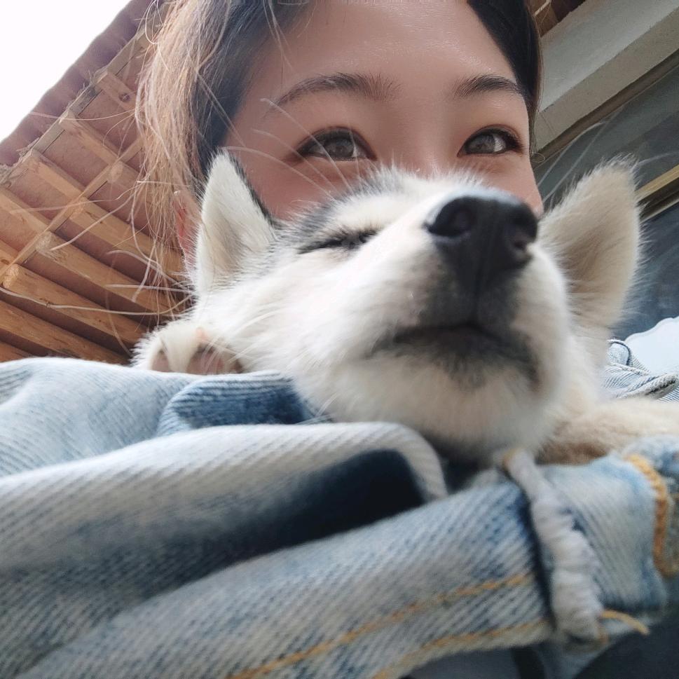 爱跳舞的小王吖