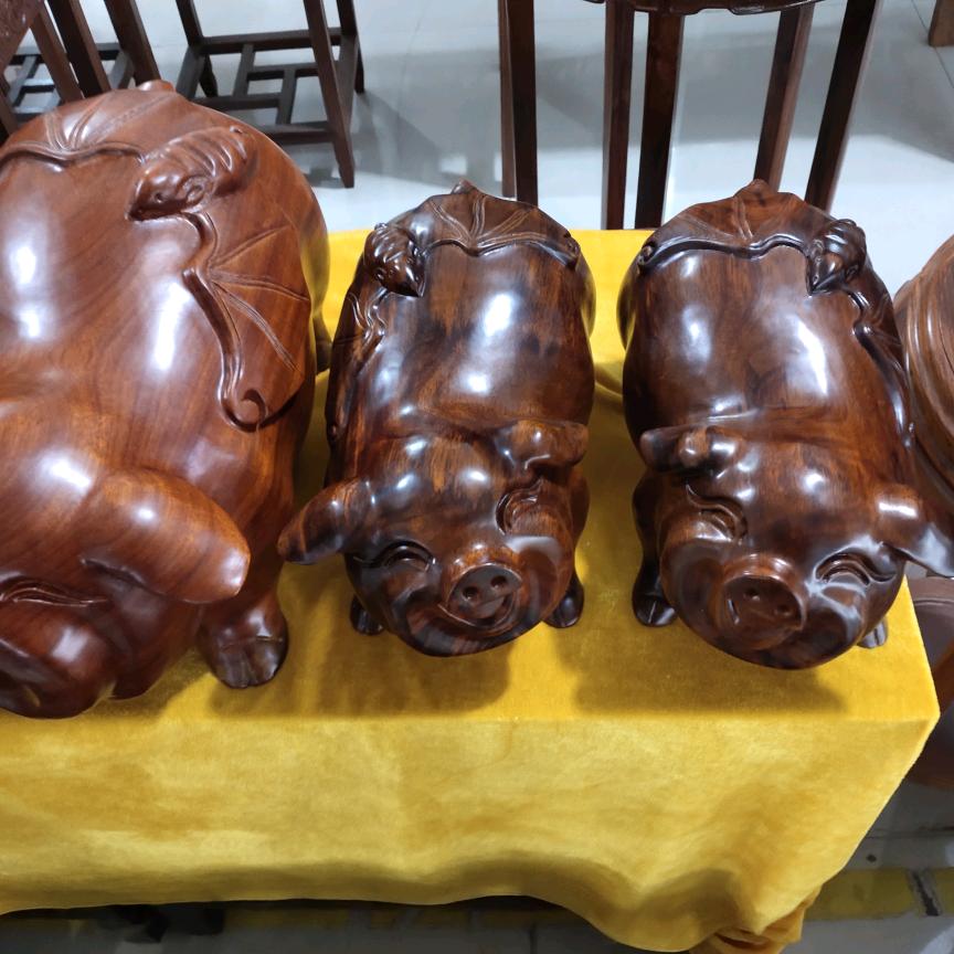 高产母猪孙元杰