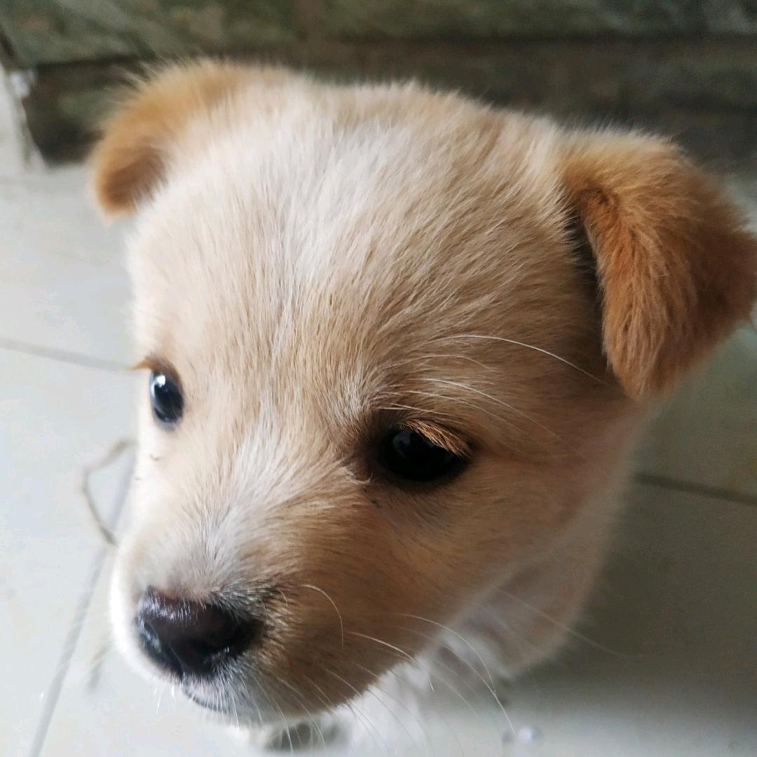 张老三