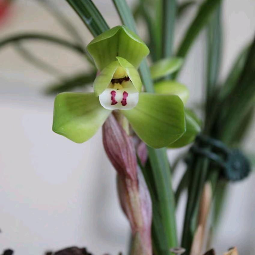 偷喝一瓶酒，路都不会走