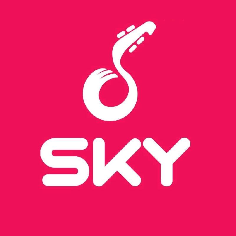 sky长笛课堂