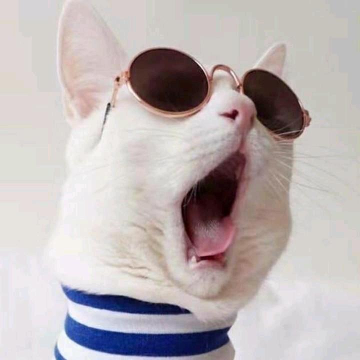 浩仔hj。