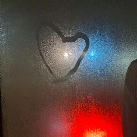 ‰     喵喵喵