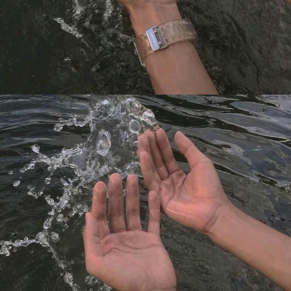 勤岸柑橘专业合作社.