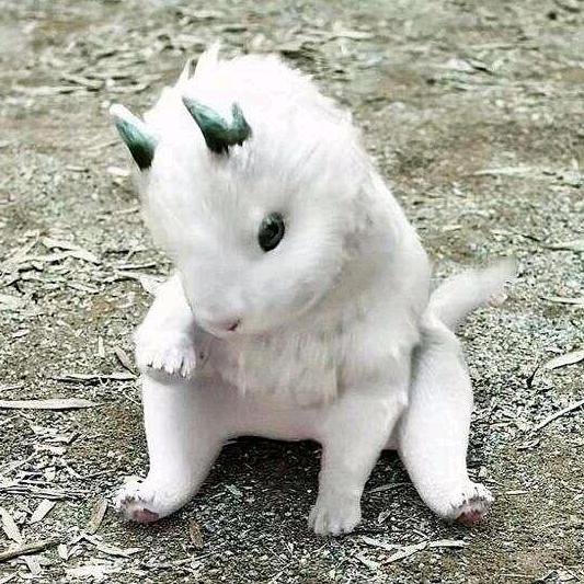 白泽非人