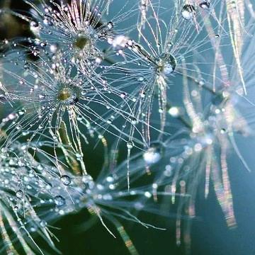 🌈🌈 张 🌈🌈