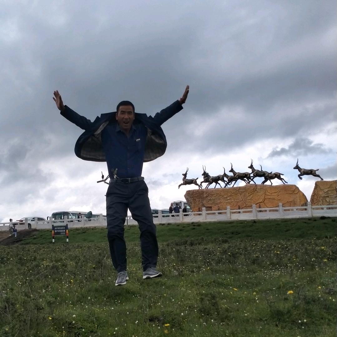 蟒龙卧虎，人生如梦