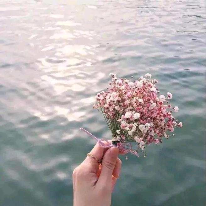 ☞春天花会开☜