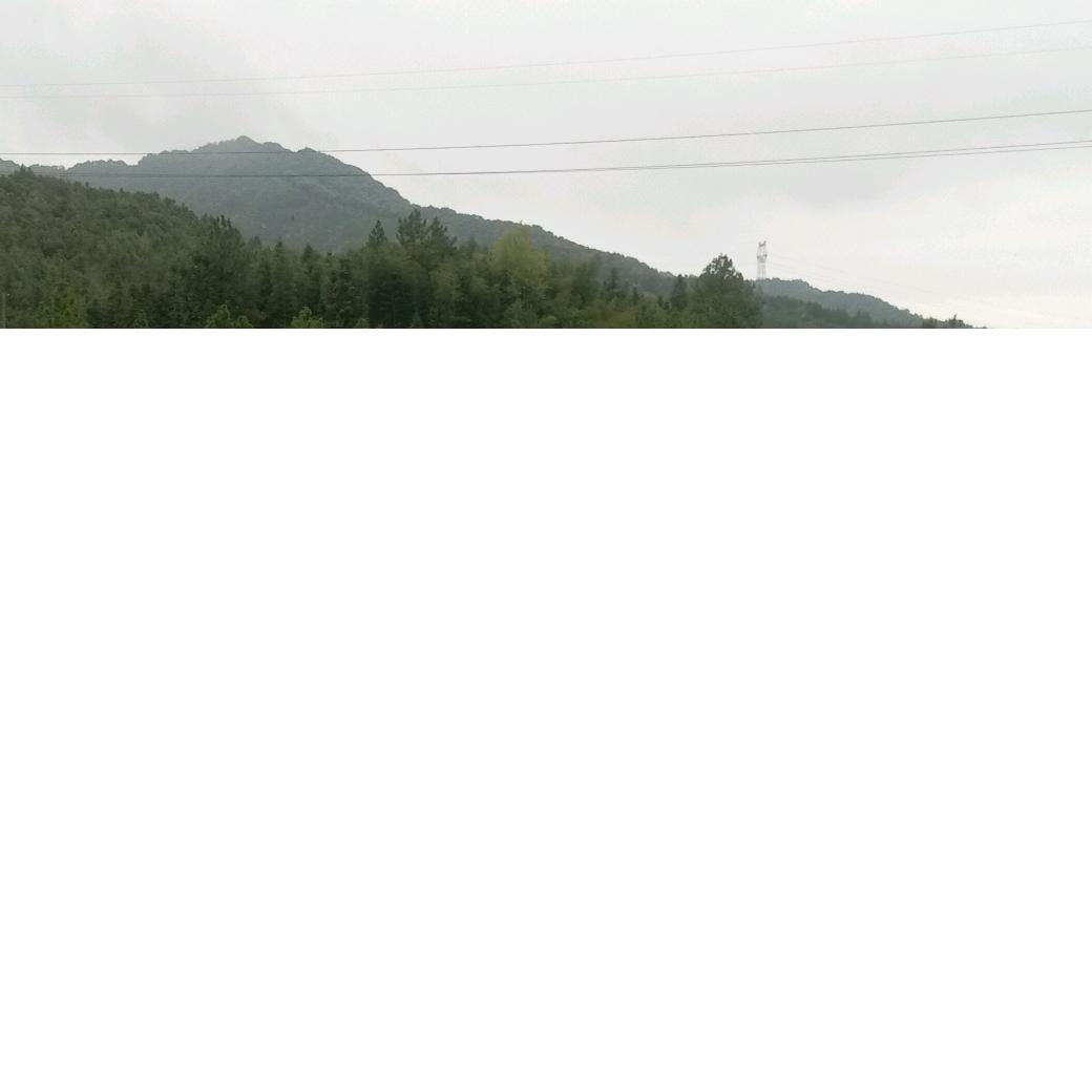 拽着衫袖照样帅