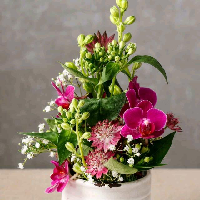 张弛（迟）有度