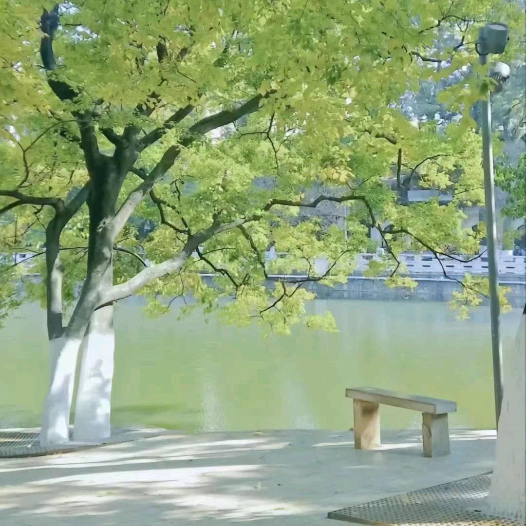 梅花儿