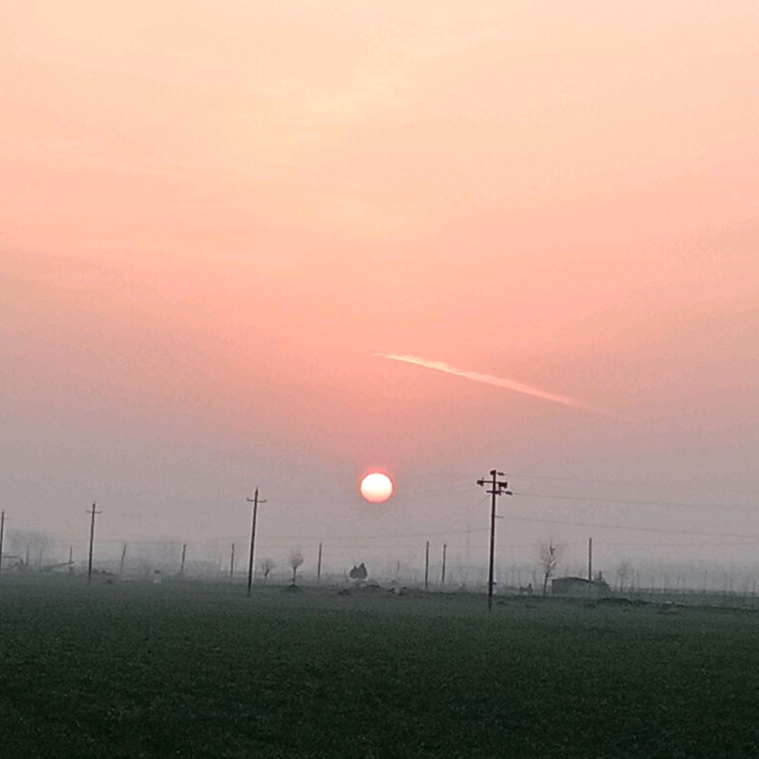 夜晚的狼