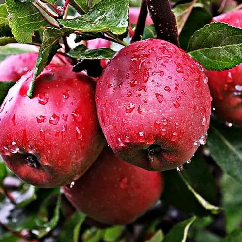 小钱切墙，打孔