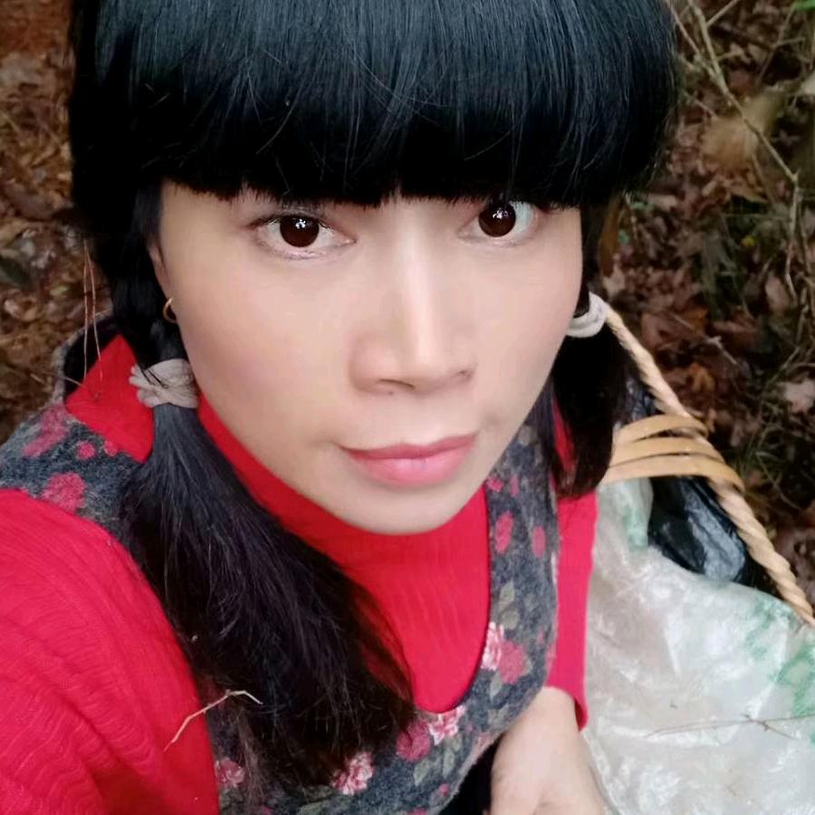 风景莲花