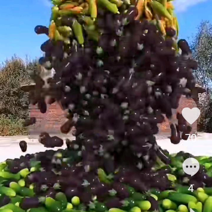 一切随缘，