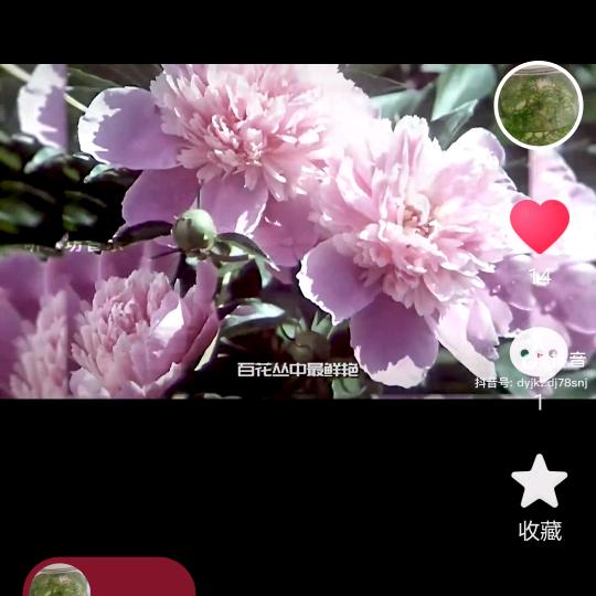 🌹((❤️米多❤️))🌹