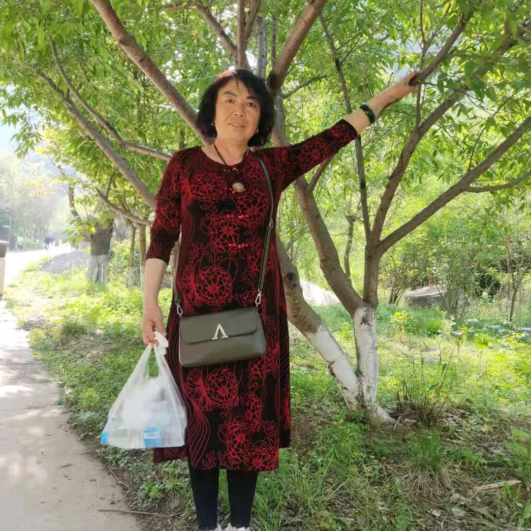 青花瓷王青兰