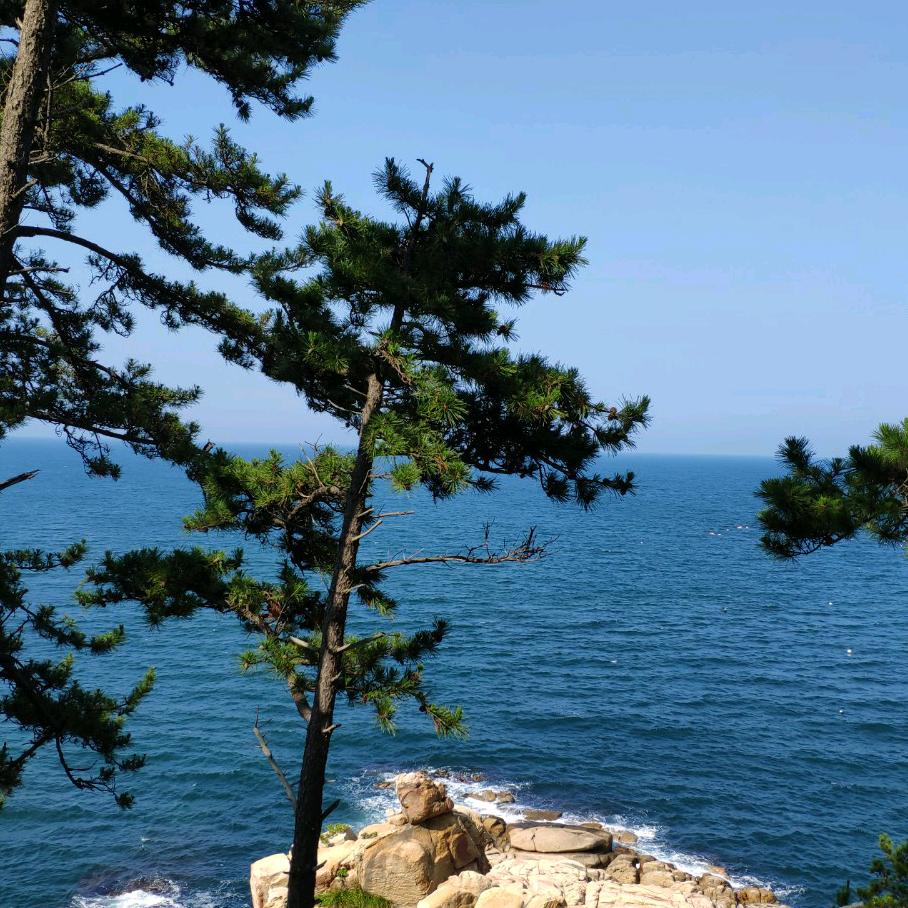 陌陌
